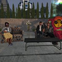 Second Life - A Digital Community
